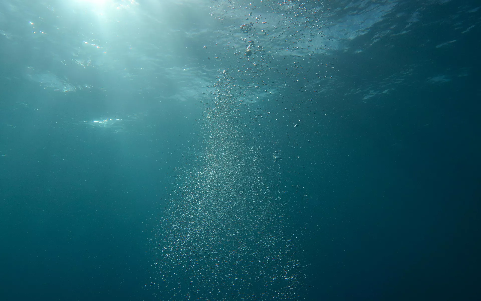 Wasser