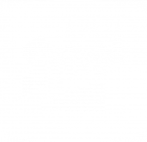 Stiegl