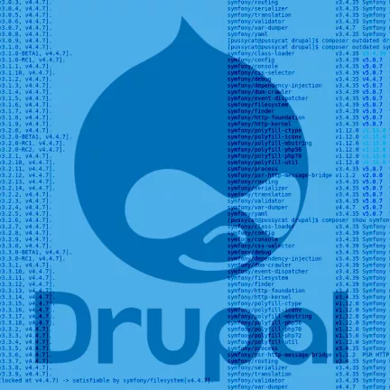 Drupal Composer